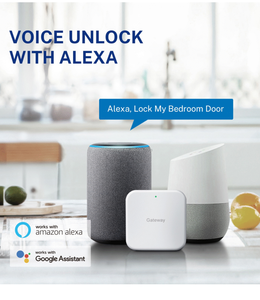alexa